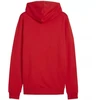 Puma Team Goal Casuals Hoody M 658618 01