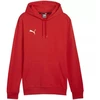 Puma Team Goal Casuals Hoody M 658618 01