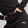 Puma Team Goal Casuals Hoody W 658621 03