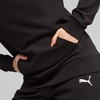Puma Team Goal Casuals Hoody W 658621 03