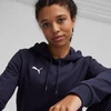 Puma Team Goal Casuals Hoody W 658621 06