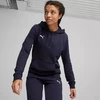 Puma Team Goal Casuals Hoody W 658621 06