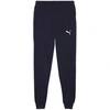 Puma Team Goal Casuals Kelnės M 658598 06