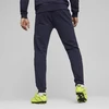 Puma Team Goal Casuals Kelnės M 658598 06