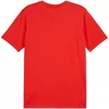 Puma Team Goal Casuals marškinėliai M 658615 01
