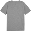 Puma Team Goal Casuals marškinėliai M 658615 33