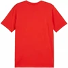 Puma Team Goal Casuals marškinėliai M 658615 01