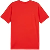 Puma Team Goal Casuals marškinėliai M 658615 01