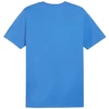 Puma Team Goal Casuals Polo Marškinėliai M 658605 02