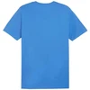 Puma Team Goal Casuals Polo Marškinėliai M 658605 02