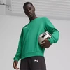 Puma Team Goal Casuals sportinis megztinis su apvalia apykakle M 658592 03