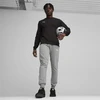 Puma Team Goal Casuals sportinis megztinis su apvalia apykakle M 658592 03
