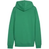 Puma Team Goal Casuals su gobtuvu, dydis M, 658595 05 džemperis
