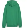 Puma Team Goal Casuals su gobtuvu, dydis M, 658595 05 džemperis