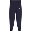 Puma Team Goal Jr kelnės 658601 06