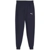 Puma Team Goal Jr kelnės 658601 06