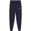 Puma Team Goal Jr kelnės 658601 06