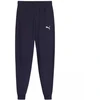 Puma Team Goal Jr kelnės 658601 06