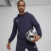 Puma Team Goal Laisvalaikio bliuzonas su gobtuvu M 658595 06