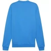 Puma Team Goal Laisvalaikio Džemperis su apvalia apykakle M 658592 02