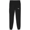 Puma Team Goal Laisvalaikio Kelnės M 658598 03