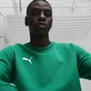 Puma Team Goal Laisvalaikio Megztinis su apvalia kaklo iškirpte M 658592 05