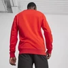Puma Team Goal Laisvalaikio Megztinis su apvalia apykakle M 658592 01