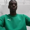 Puma Team Goal Laisvalaikio Megztinis su apvalia kaklo iškirpte M 658592 05