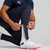 Puma Team Goal Siauros Treniruočių Vyriškos Kelnės Tamsiai Mėlynos 659037 06