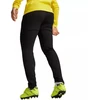 Puma Team Goal Slim treniruočių kelnės M 659037 03