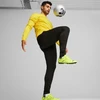 Puma Team Goal Slim treniruočių kelnės M 659037 03