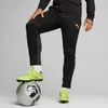 Puma Team Goal treniruočių kelnės M 658639 03