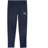 Puma Team Goal treniruočių kelnės M 658639 06