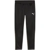 Puma Team Goal treniruočių kelnės M 658639 03