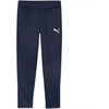Puma Team Goal treniruočių kelnės M 658639 06