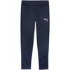 Puma Team Goal treniruočių kelnės M 658639 06