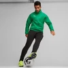 Puma Team Goal Visų orų Vyriška Striukė Žalia 659038 05 Puma