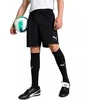Puma Team Goal Vyriški Šortai Juodi 705752 03