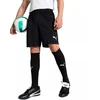 Puma Team Goal Vyriški Šortai Juodi 705752 03