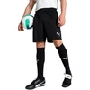 Puma Team Goal Vyriški Šortai Juodi 705752 03