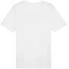 Puma Team Rise Logo medvilniniai marškinėliai M 658705 04