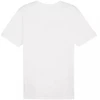 Puma Team Rise Logo medvilniniai marškinėliai M 658705 04