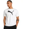 Puma Team Rise Logo medvilniniai marškinėliai M 658705 04