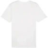 Puma Team Rise Logo medvilniniai marškinėliai M 658705 04