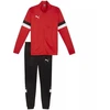 Puma Team Rise M treningas 658653 01