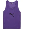 Puma Team Vyriška Liemenė Violetinė 657251 52