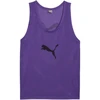 Puma Team Vyriška Liemenė Violetinė 657251 52