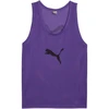 Puma Team Vyriška Liemenė Violetinė 657251 52