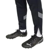 Puma teamFinal Training kelnės M 657380 03