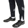 Puma teamFinal Training kelnės M 657380 03